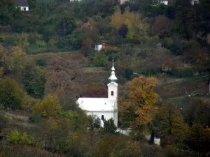 Szekszárd túra